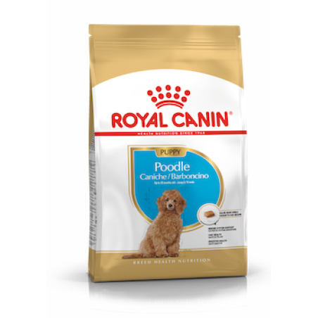 רויאל קנין גורי פודל Royal Canin 1.5 קג