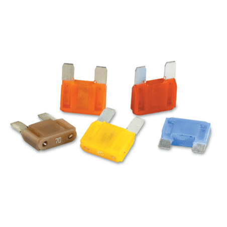 נתיך אמריקאי מקסי