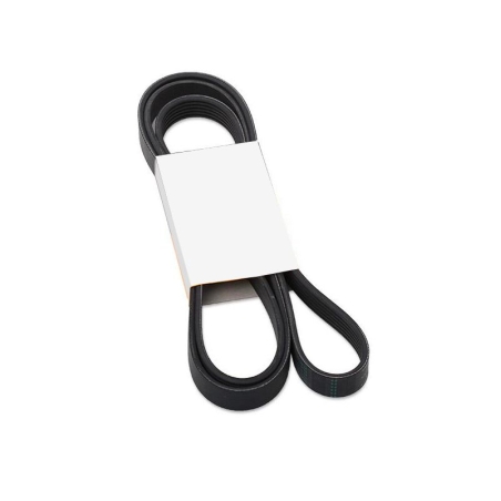 רצועה 8PK2554 אקטרוס חדשה