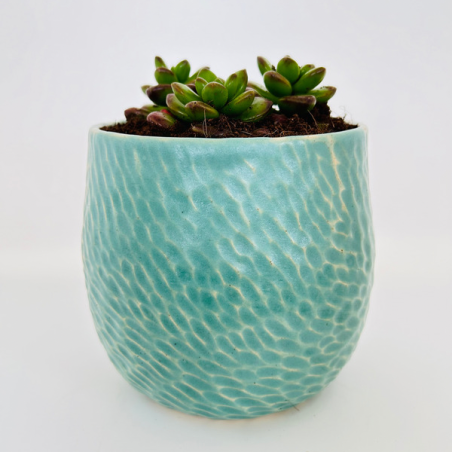 Shoshana | planter