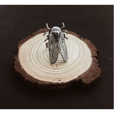 Cicada ring