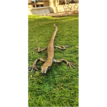 זיקית