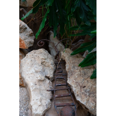 פרפר באבן