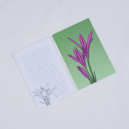 Autumn Crocus Postcards (Set of 10)