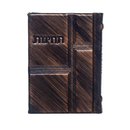 תחינות-דגם 55