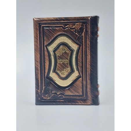 תחינות-דגם 200