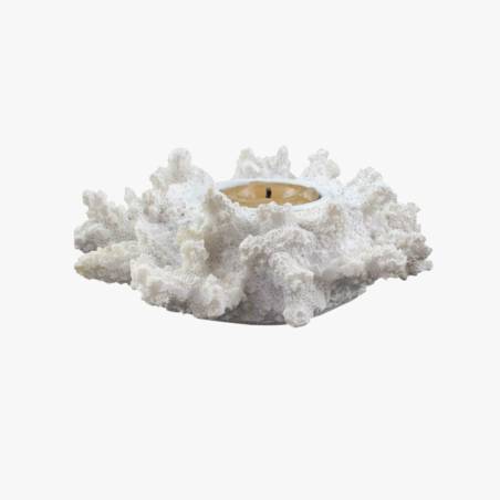 פמוט קורל יחיד