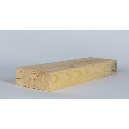 עץ לבן בניין 5/10