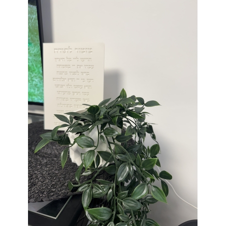 ברכת מזמור לתודה מוטבע + כד