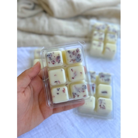 שעוונית Lavender