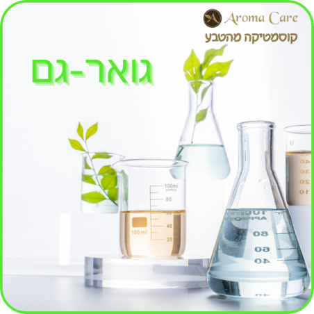 גואר גם