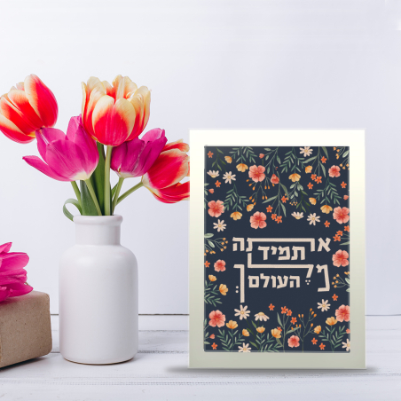 מסגרת - מלך העולם