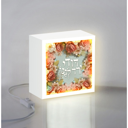 מנורת דודי ירד לגנו