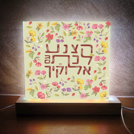 תמונת אור הצנע לכת