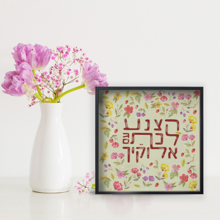 הצנע לכת