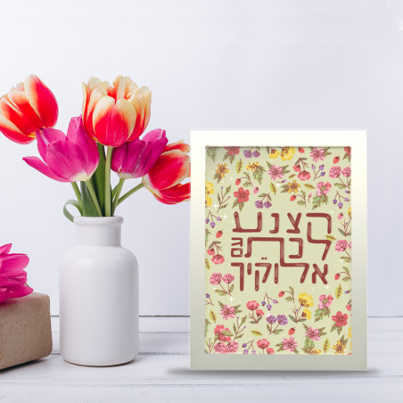 מסגרת  - הצנע לכת