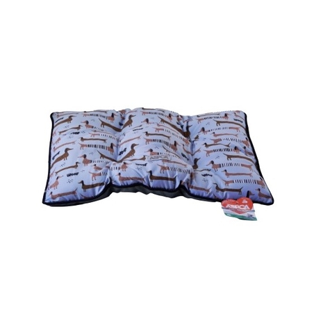 מזרון תכלת AS6466 מידה 48*62 ס