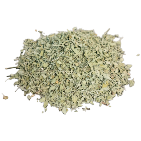 זוטה לבנה עלים