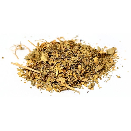 ספיראה פיליפלדולה עלים גרוס