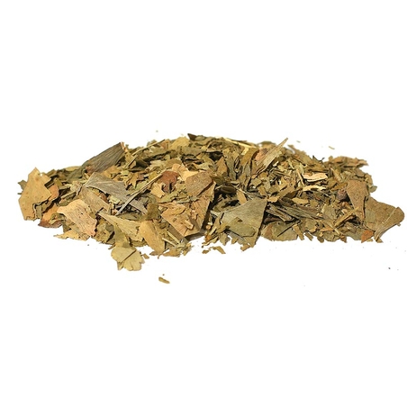 ג'ינקו בילובה