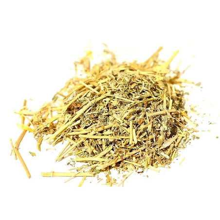 קוטב מצוי בר