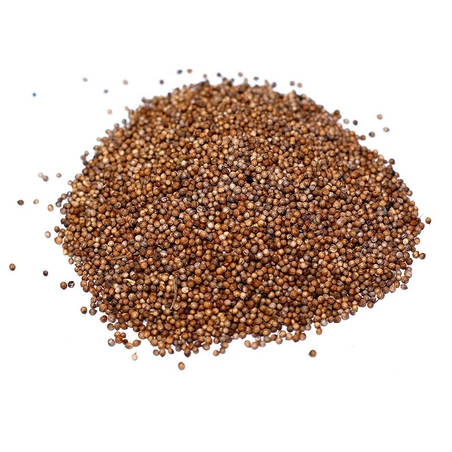 כוסברה זרעים