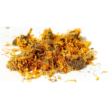 ציפורני חתול קלנדולה