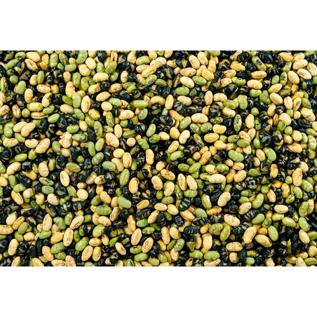 פרוטאין מיקס