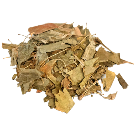 גינקו בילובה אורגני עלים