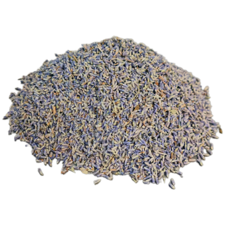 לבנדר אזוביון פרחים