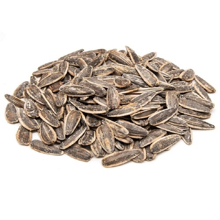 חמניה שחור קלוי ללא מלח