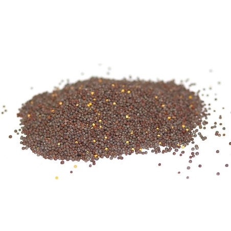 חרדל שחור זרעים