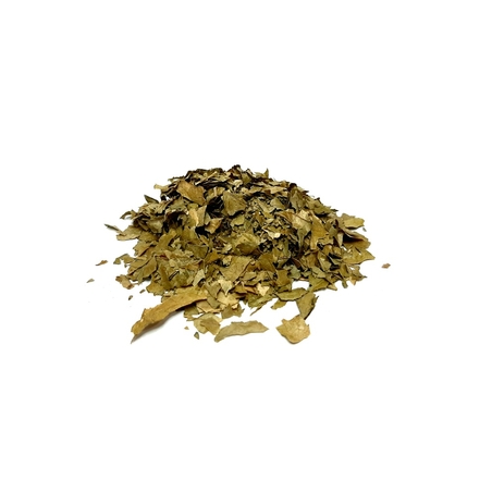 פסיפלורה קיפודנית ארגמנית