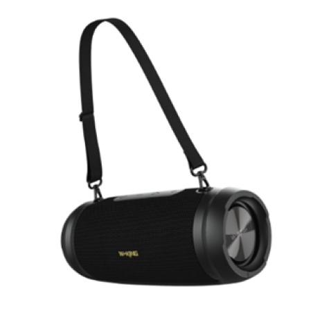 רמקול עוצמתי נייד 60W D3 PRO-M
