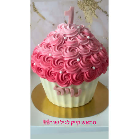 עוגת סמאש קייק