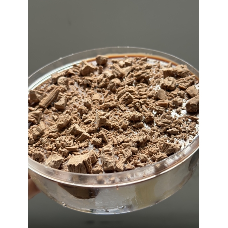 צנצנת מוס קוטר 16