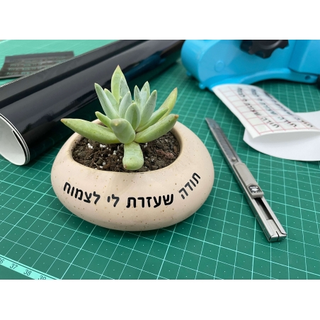 עציץ קטן