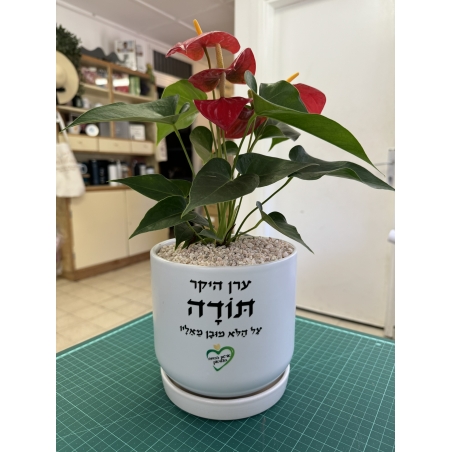 עציץ בהקדשה אישית