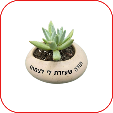 עציץ קטן