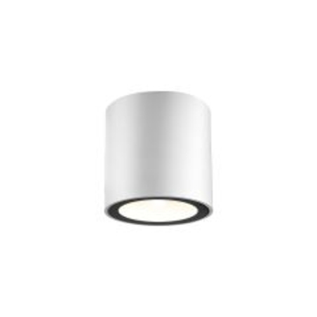 צילינדר צמוד תקרה IP65 10W LESS