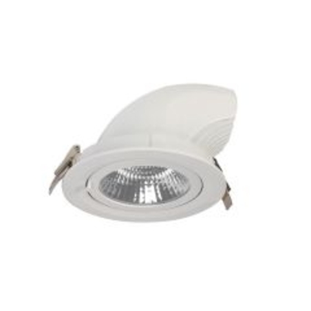 שקוע תקרה עין זיקית 30W אור חם