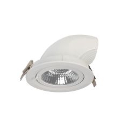 שקוע תקרה עין זיקית 30W אור קר