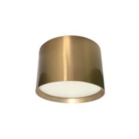צילינדר תאורה GOBI 12W CCT קוטר 110 מ