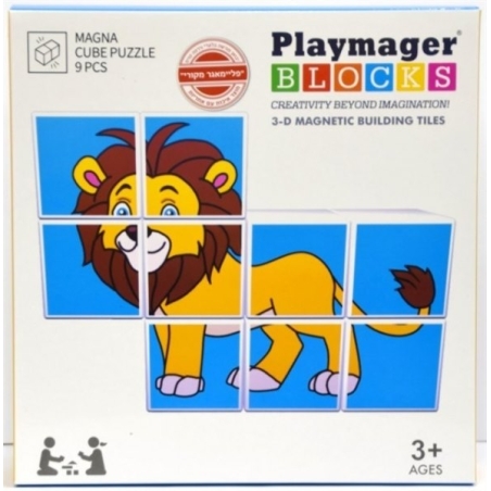 פאזל קוביות מגנט 9 חלקים PLAYMAGER