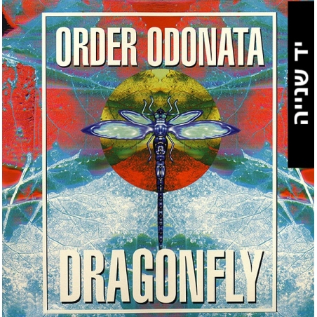 Various – Order Odonata (The Technical Use Of Sound In Magick)