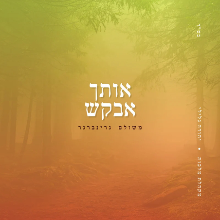 משולם גרינברגר - אותך אבקש