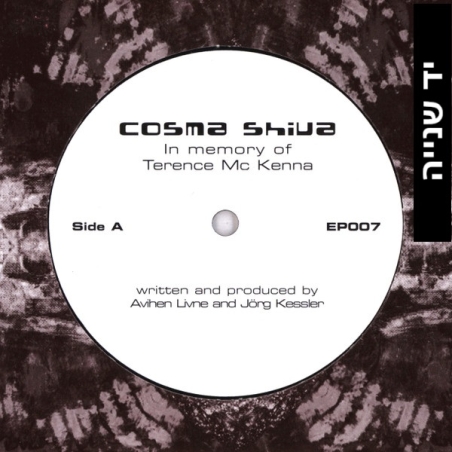 Cosma Shiva / Cosma ‎– In Memory Of Terence Mc Kenna / Massive Sphere