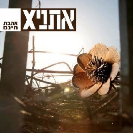 אתניקס- אהבת חינם