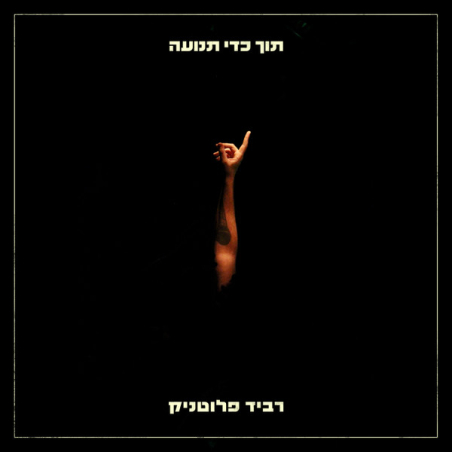 רביד פלוטניק – תוך כדי תנועה