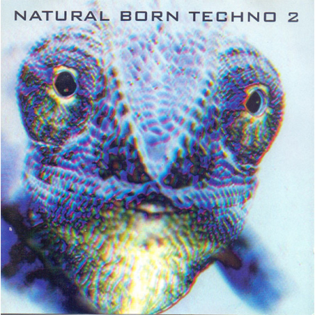 Various – Natural Born Techno 2